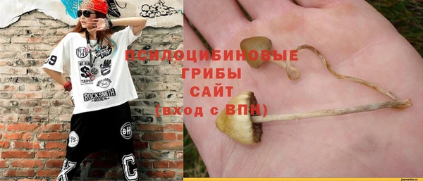 гашик Балабаново
